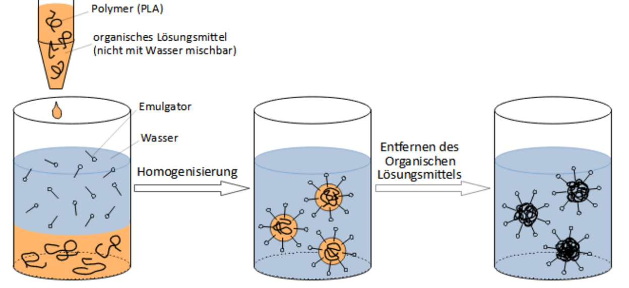Abb. 1: Schematische Darstellung zur Herstellung der wässrigen PLA-Dispersionen für den wasserbasierten PLA-Lack mittels der Solvent Evaporation Methode