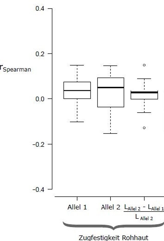 Spearman-Korrelation der Mikrosatelliten-Daten (Allel1, Allel2, und skalierte Alleldifferenz) mit der Zugfestigkeit der Rohhaut.