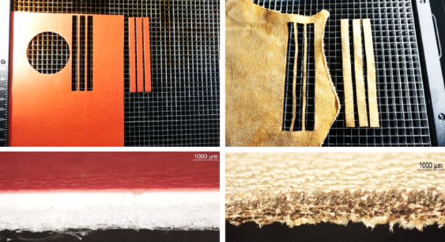 Abb. 2: Laserschneiden zur Probekörperpräparation an beschichtetem Textil (rot) und Leder (braun); Unten: Lichtmikroskopische Querschnittsaufnahmen der Schnittkanten, Leder mit Verbrennungsspuren (zu optimieren).