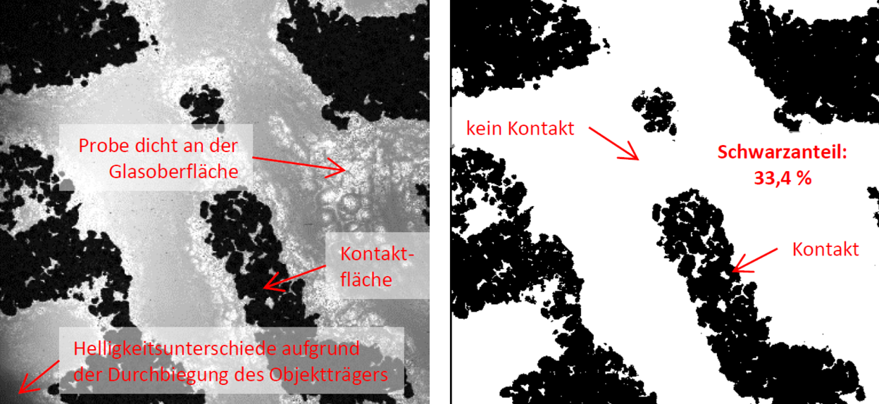 Abb. 1: Optische Verfolgung der Kontaktbildung; links: Aufnahme vom Laser-Scanning-Mikroskop, rechts: mit Bildbearbeitung identifizierte Kontaktfläche (Bildausschnitt: 1280 x 1280 μm)