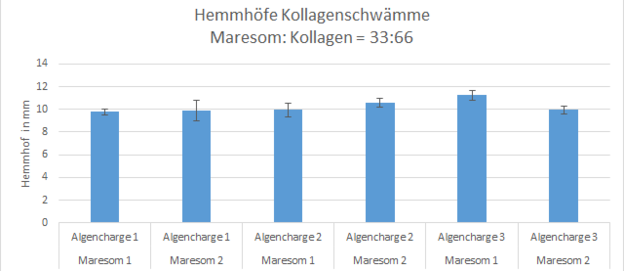 Abb. 4: Hemmhöfe von Kollagen-Maresome-Schwämmen über unterschiedliche Produktionschargen von Algen, Maresomen und Kollagen-Maresome-Schwämmen. Maresome-Gehalt 45 %
