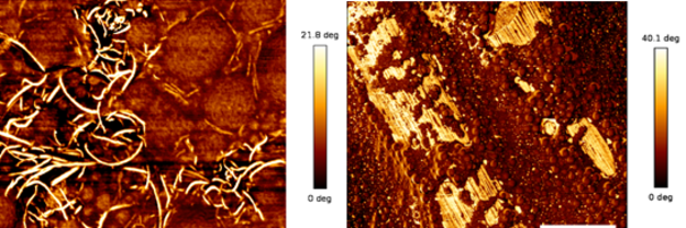 Abb. 1: AFM-Aufnahme Polyurethanoberfläche; links: eingebettete CNT, rechts: eingebettete CF