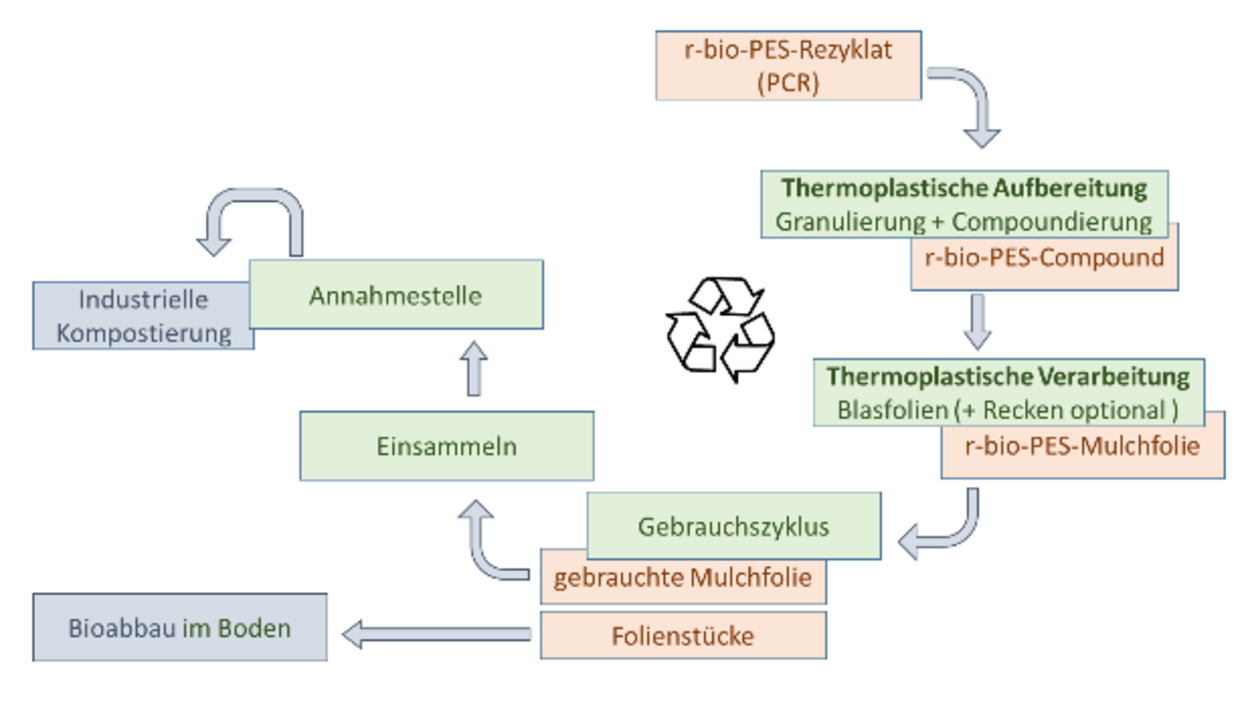 Abb.: Angestrebte Prozesskette für bio-PES-Rezyklate